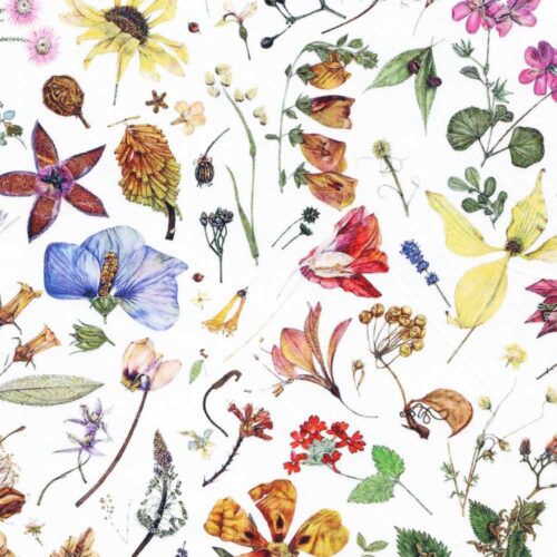 Liberty Floral Eve A