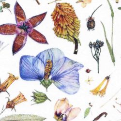Liberty botanische bloemenprint