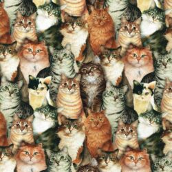 Lesley Anne Ivory Cat Collage Fabric