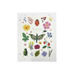 مجموعة بطاقات الشكر للحشرات والزهور من كوريو
